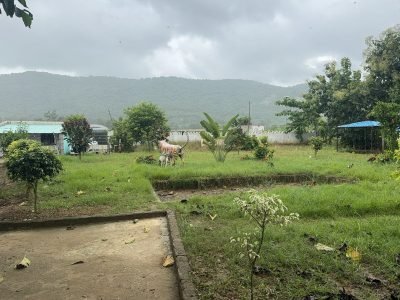 WhatsApp Image 2025-12-30 at 1.26.32 PM (2)